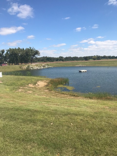 Pond